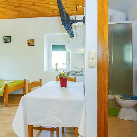Apartment Three-bedroom In Ostrvica